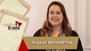 Explica Direito Filiação Socioafetiva  2019 [upl. by Anicul]